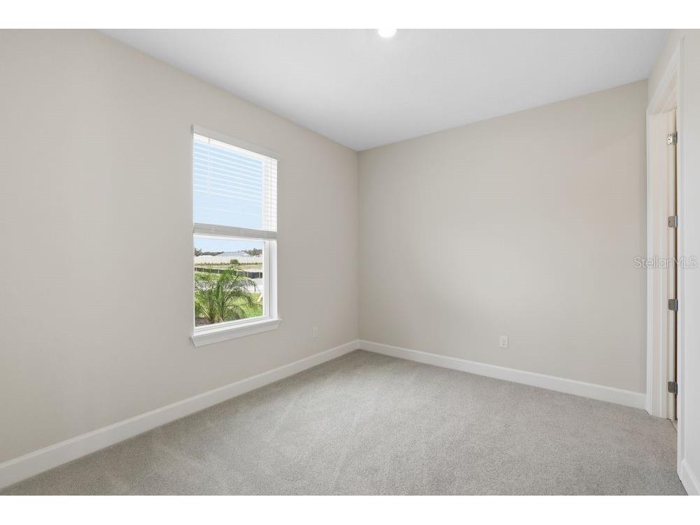 3890 Figliolia Way Wesley Chapel FL 33543 TB8429452 image24