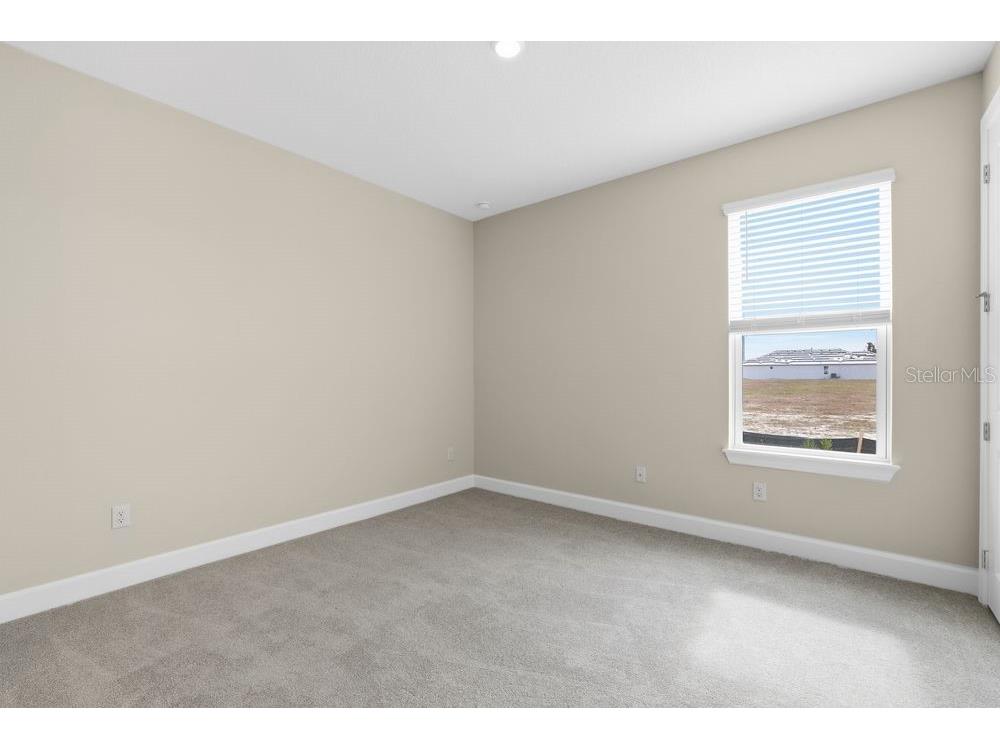 3890 Figliolia Way Wesley Chapel FL 33543 TB8429452 image25