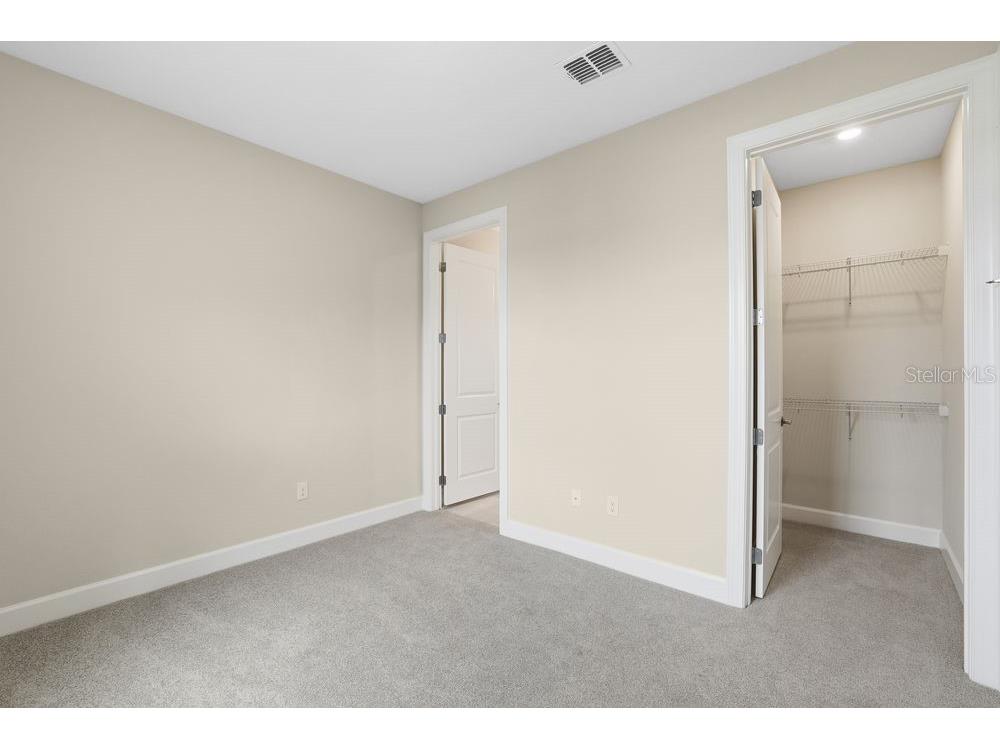 3890 Figliolia Way Wesley Chapel FL 33543 TB8429452 image26