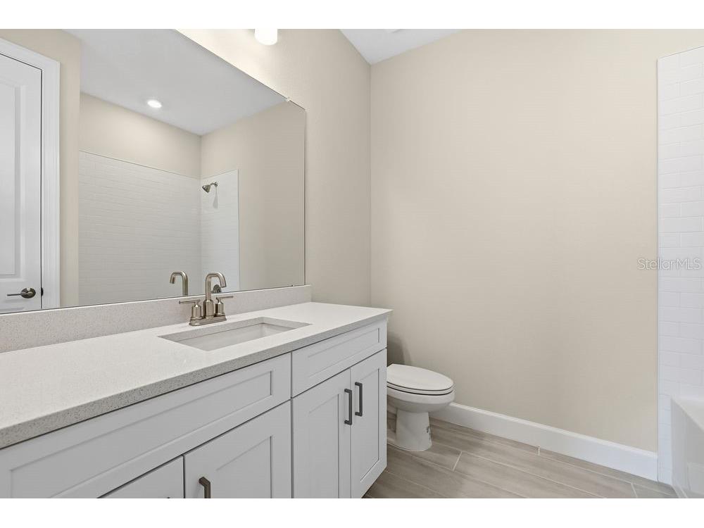 3890 Figliolia Way Wesley Chapel FL 33543 TB8429452 image29