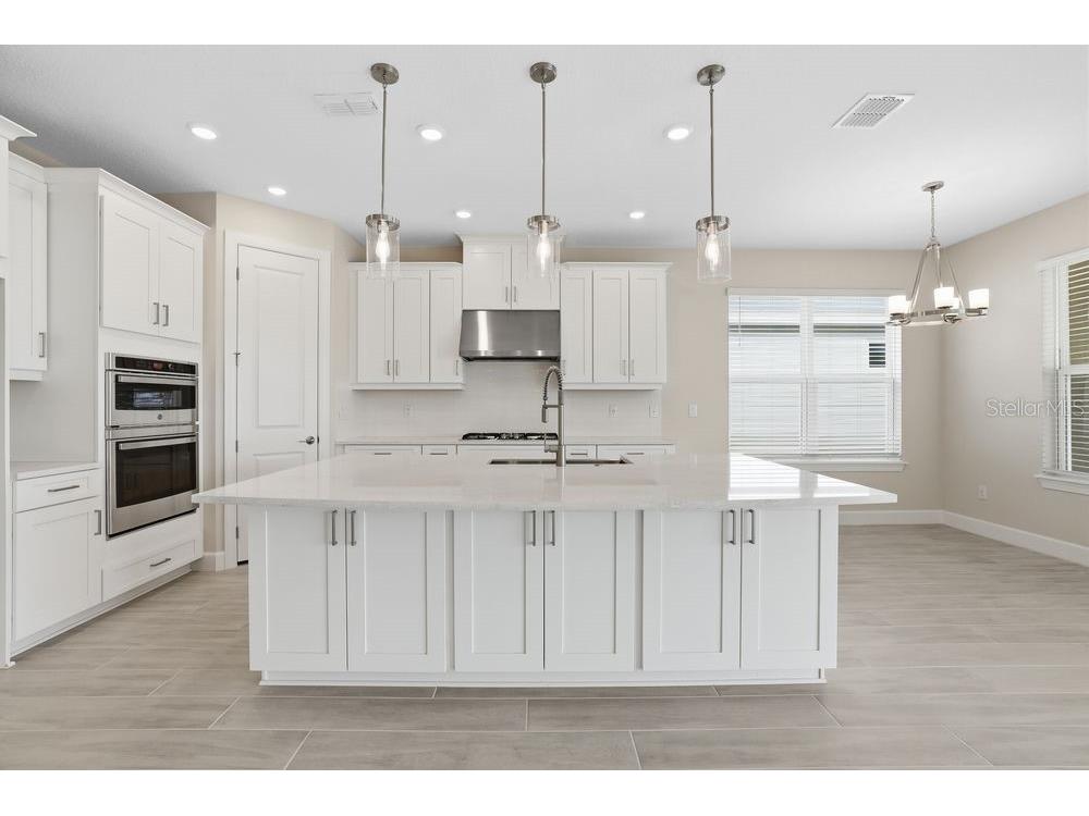 3890 Figliolia Way Wesley Chapel FL 33543 TB8429452 image3