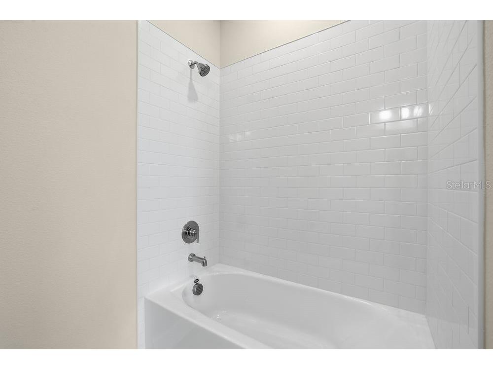 3890 Figliolia Way Wesley Chapel FL 33543 TB8429452 image30