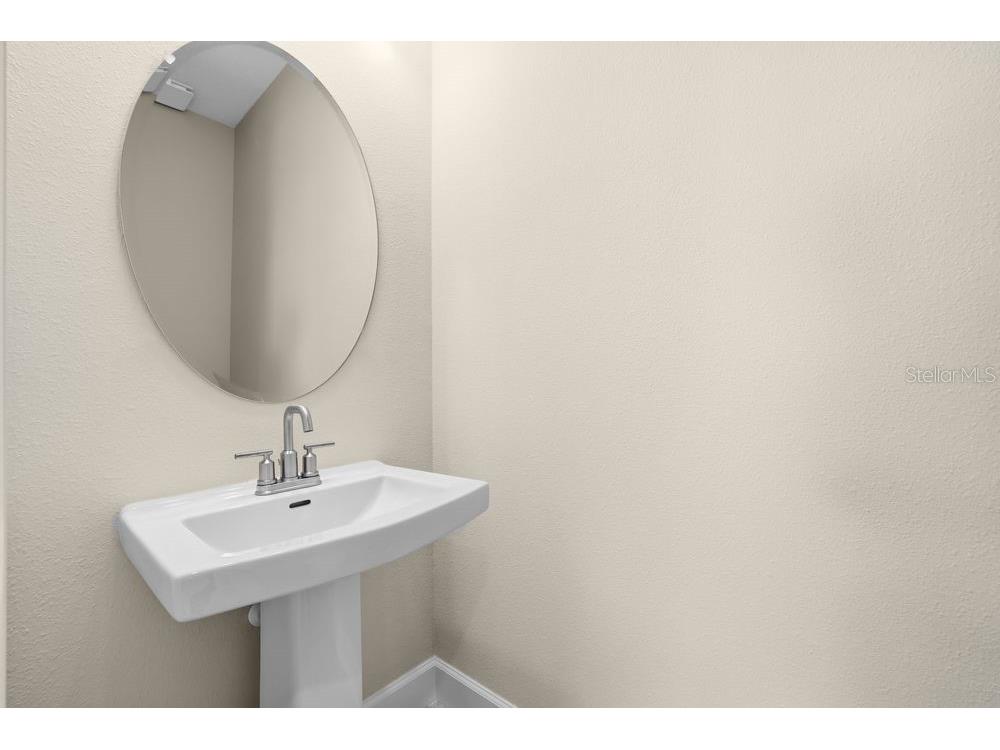 3890 Figliolia Way Wesley Chapel FL 33543 TB8429452 image31