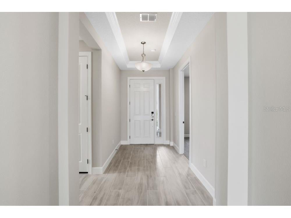 3890 Figliolia Way Wesley Chapel FL 33543 TB8429452 image34