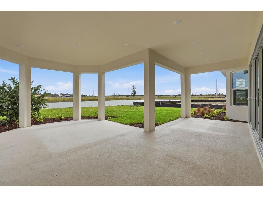 3890 Figliolia Way Wesley Chapel FL 33543 TB8429452 image37