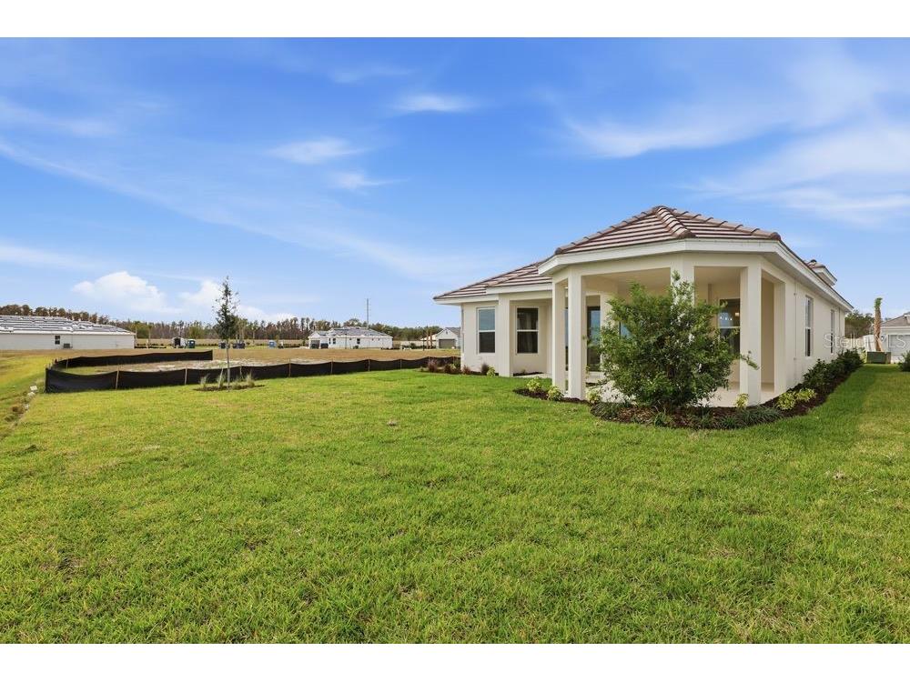 3890 Figliolia Way Wesley Chapel FL 33543 TB8429452 image38