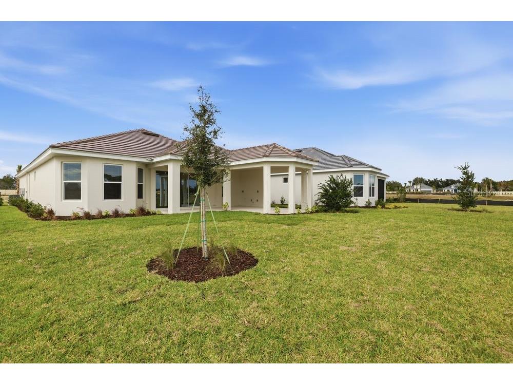 3890 Figliolia Way Wesley Chapel FL 33543 TB8429452 image39