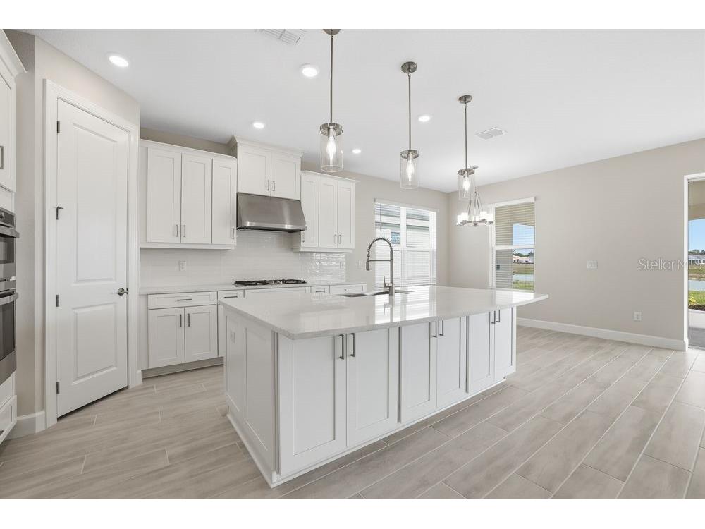 3890 Figliolia Way Wesley Chapel FL 33543 TB8429452 image4