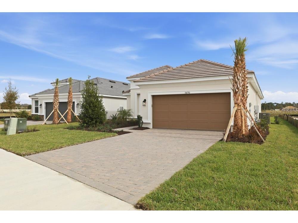 3890 Figliolia Way Wesley Chapel FL 33543 TB8429452 image41