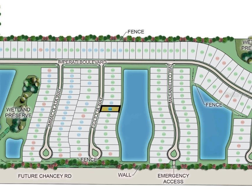 3890 Figliolia Way Wesley Chapel FL 33543 TB8429452 image44