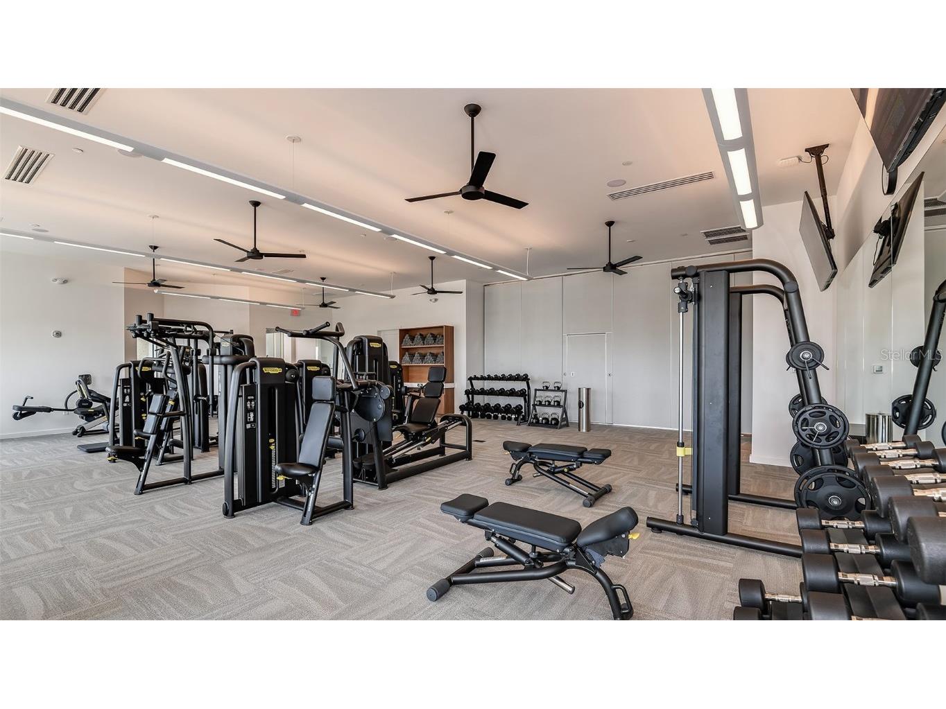 3890 Figliolia Way Wesley Chapel FL 33543 TB8429452 image47