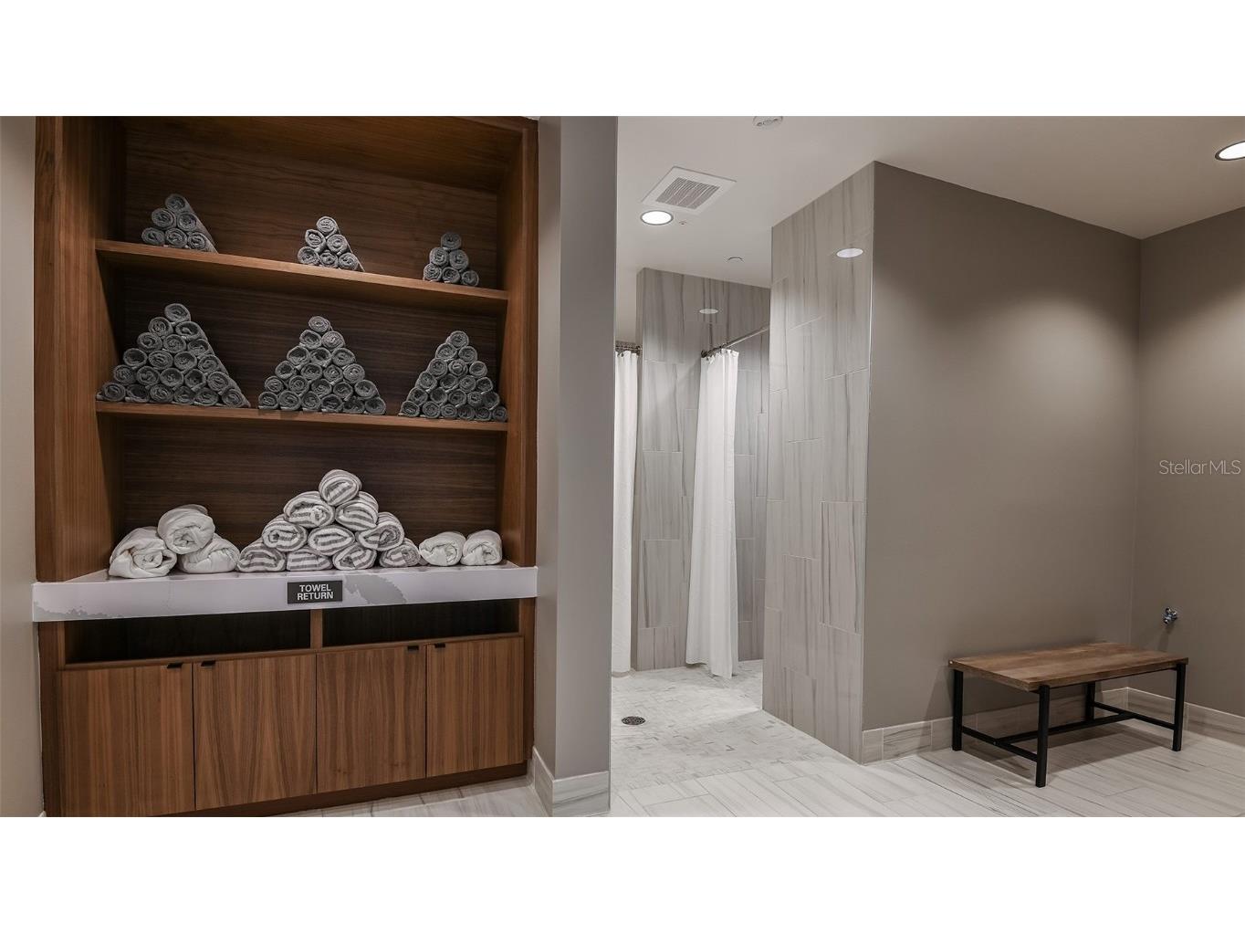 3890 Figliolia Way Wesley Chapel FL 33543 TB8429452 image49