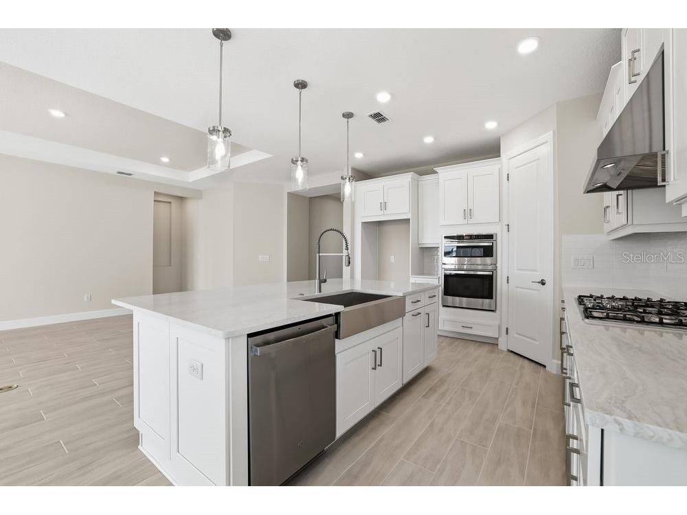 3890 Figliolia Way Wesley Chapel FL 33543 TB8429452 image5