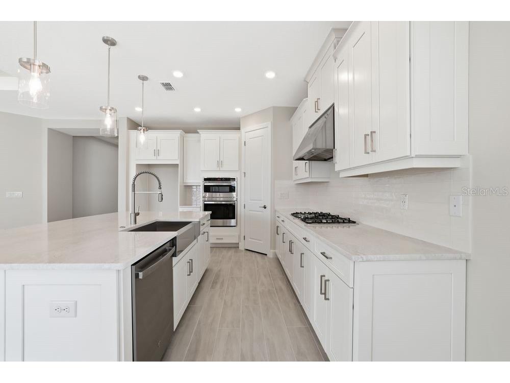 3890 Figliolia Way Wesley Chapel FL 33543 TB8429452 image6