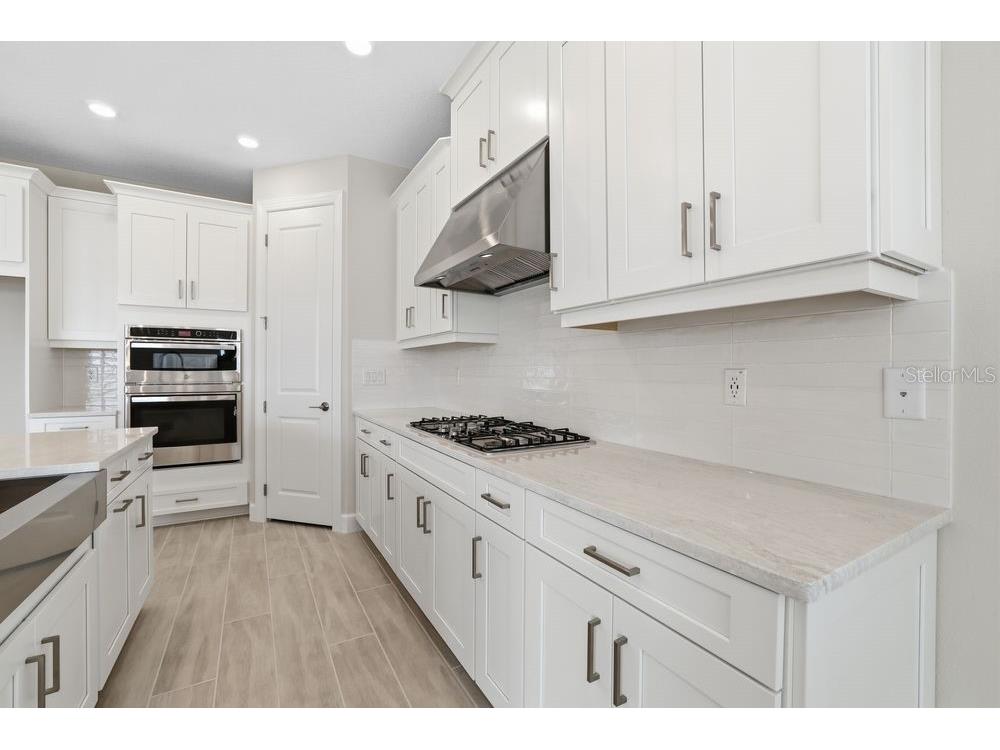 3890 Figliolia Way Wesley Chapel FL 33543 TB8429452 image7