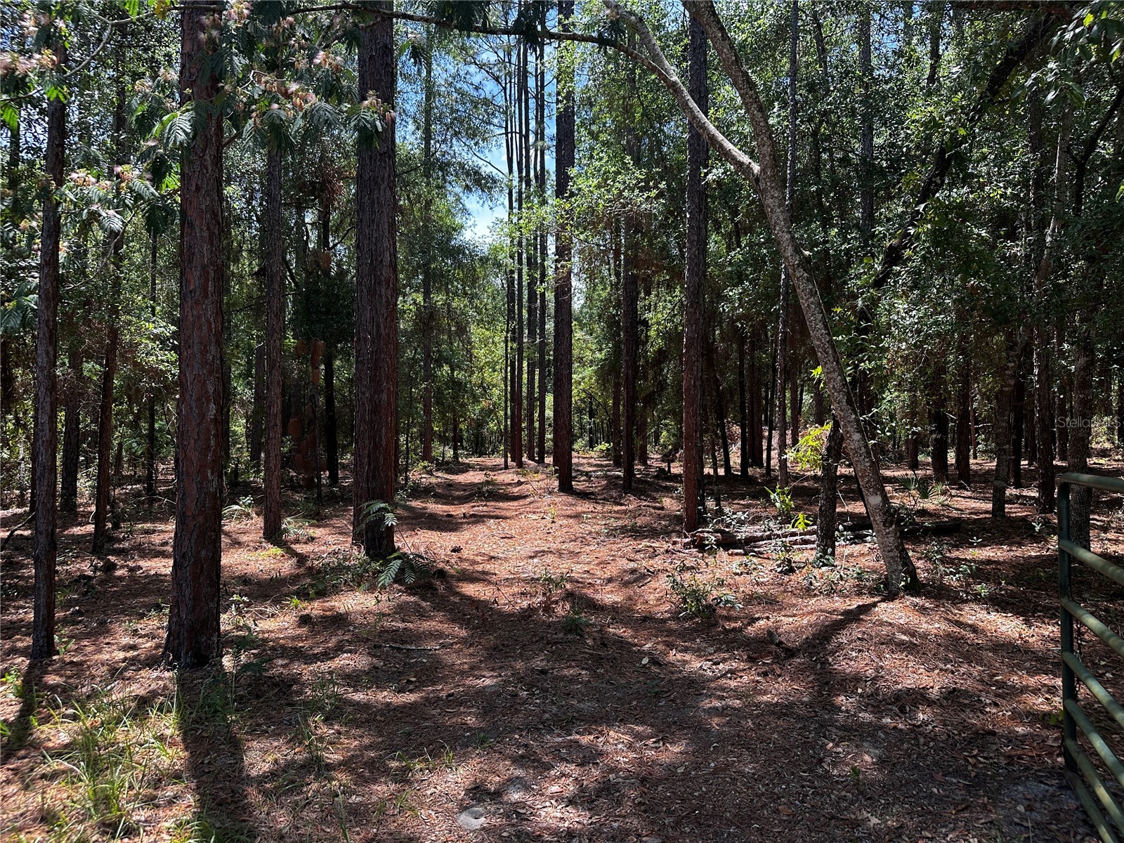 3890 SW 189th Avenue Dunnellon FL 34432 OM725285 image31