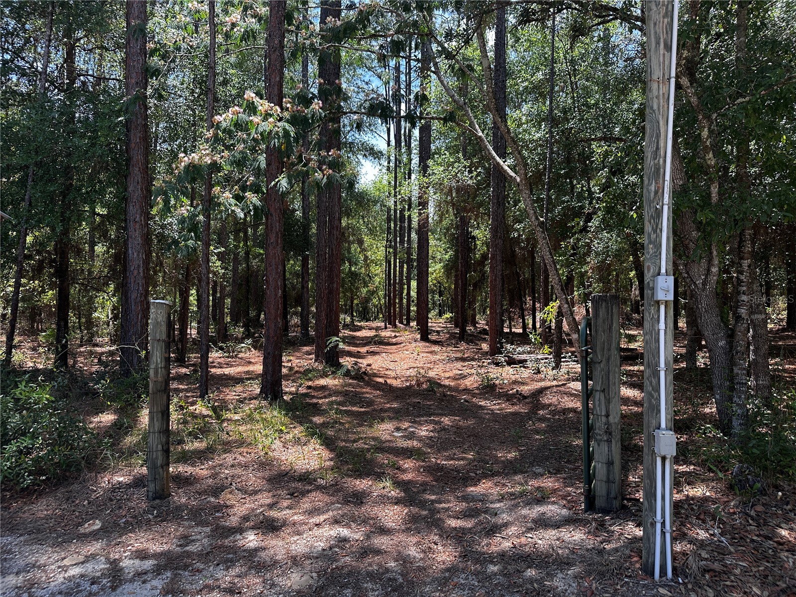 3890 SW 189th Avenue Dunnellon FL 34432 OM725285 image6