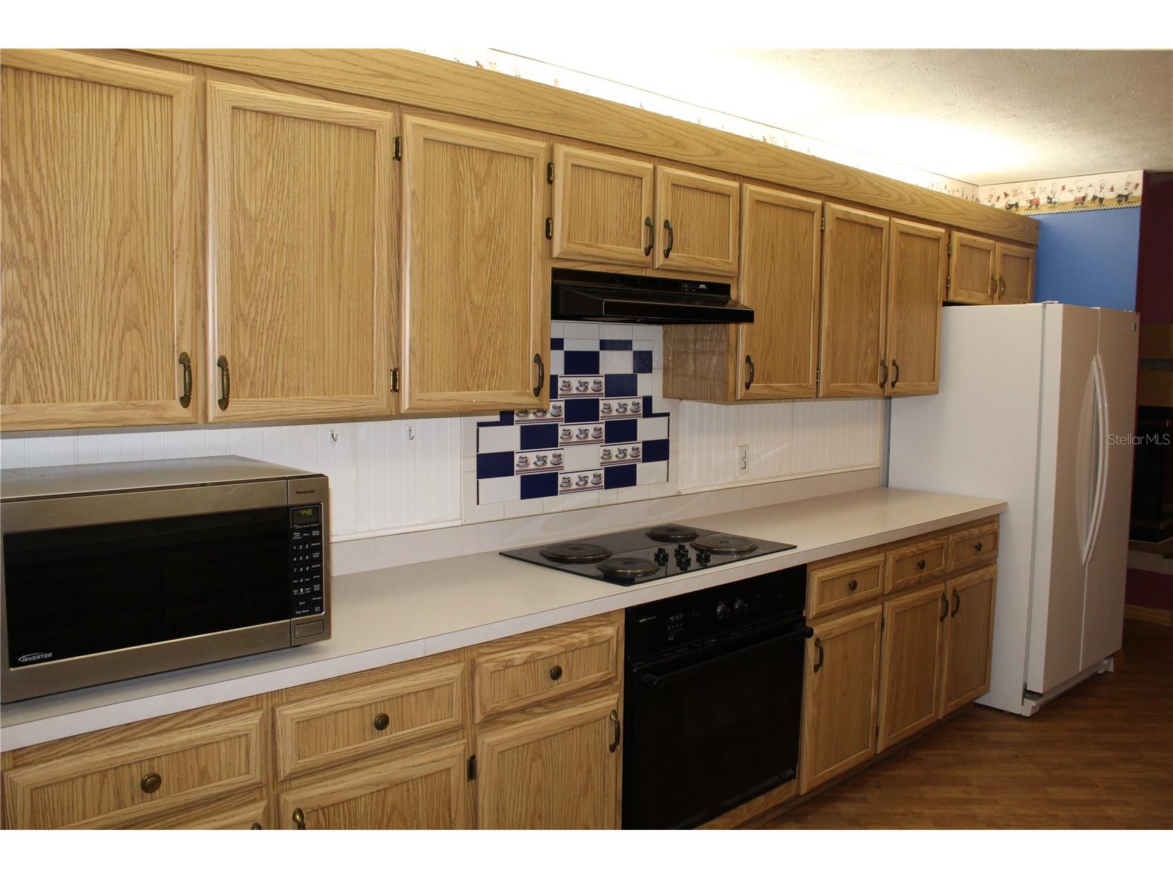 38901 Ella Drive Lady Lake FL 32159 G5107984 image8
