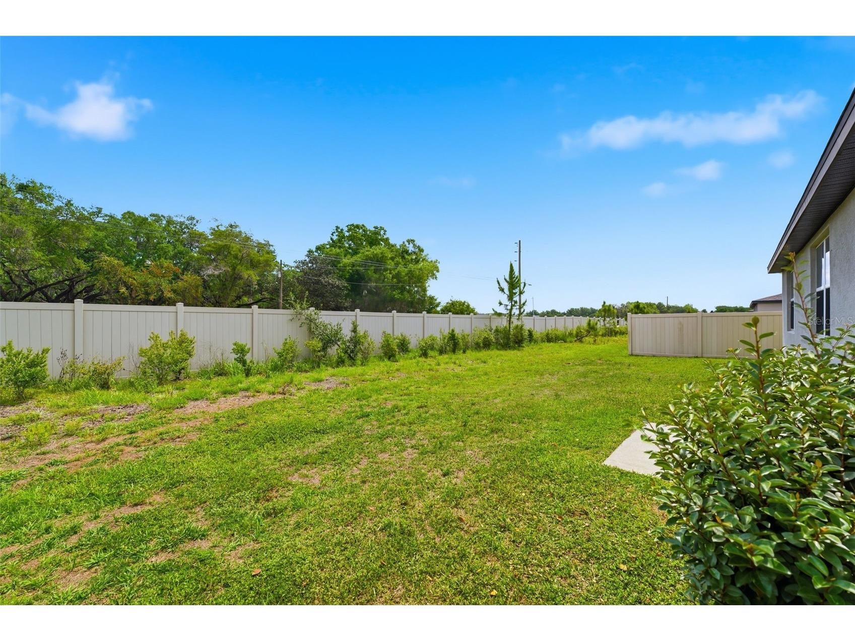 38905 Harlow Rose Drive Zephyrhills FL 33540 TB8495635 image30