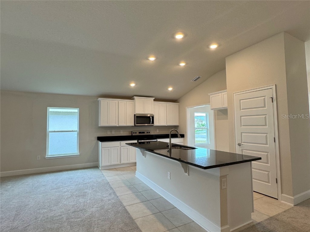 3891 Sagefield Drive Harmony FL 34773 O6318642 image14