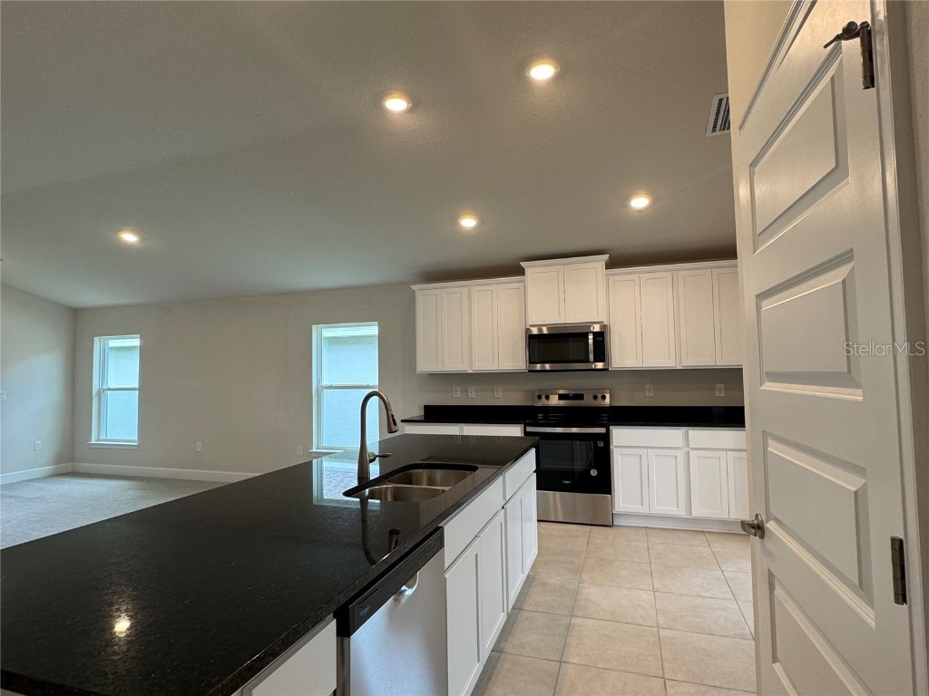 3891 Sagefield Drive Harmony FL 34773 O6318642 image9