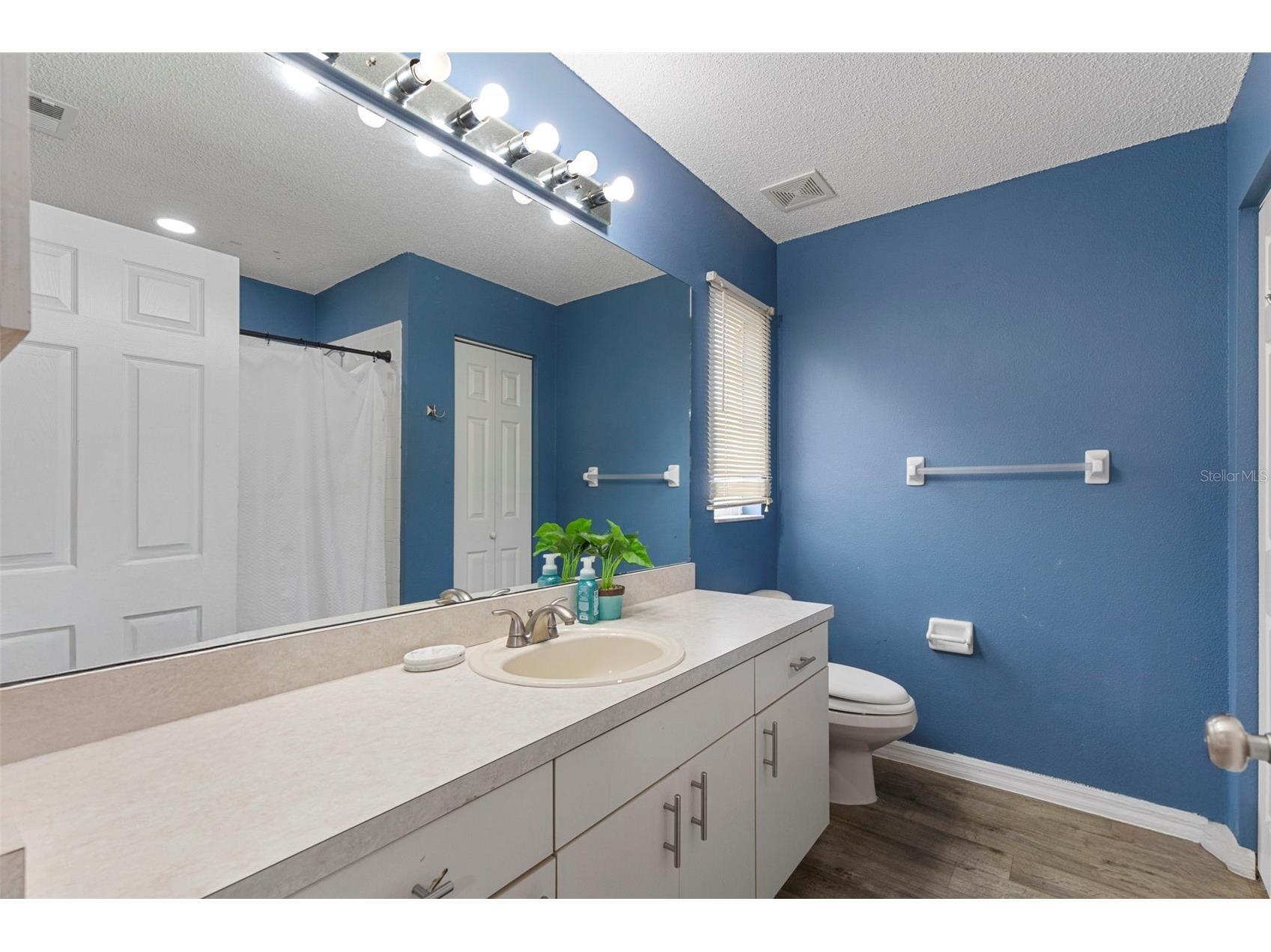 38912 Carr Drive Zephyrhills FL 33540 TB8511686 image35