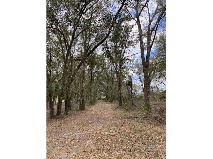 3892 Marsh Road Deland FL 32724 - LAKE DAUGHARTY V4928484 image1