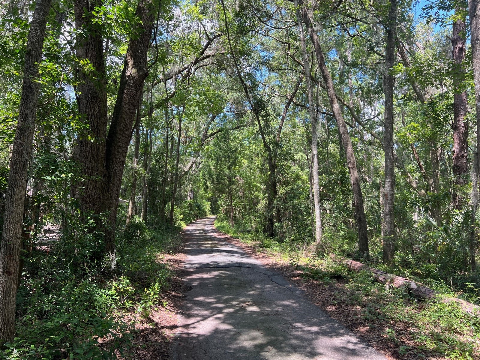 3892 NW 44th Avenue Gainesville FL 32606 GC532932 image3