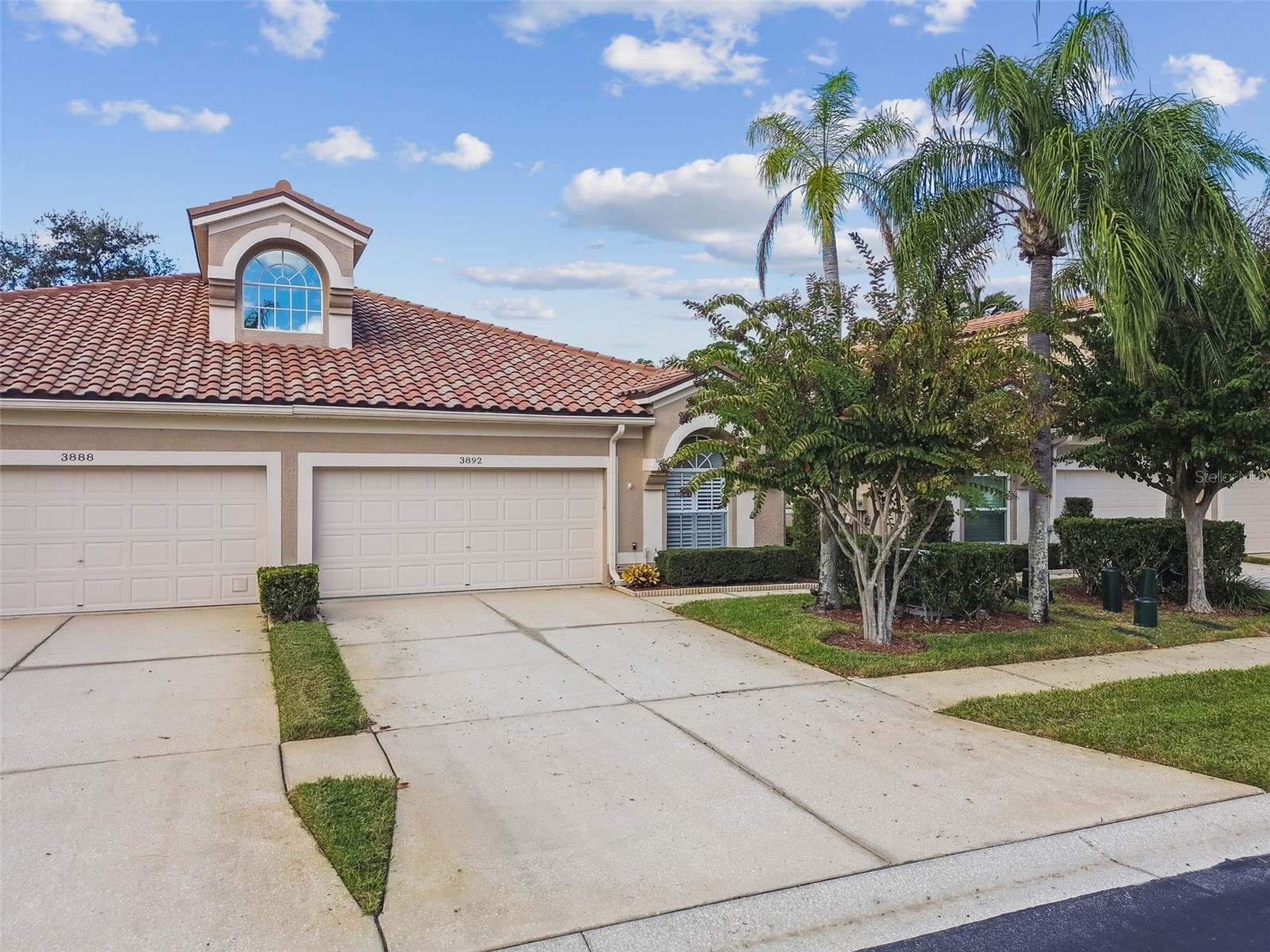 3892 Timber Ridge Court Palm Harbor FL 34685 TB8461933 image1