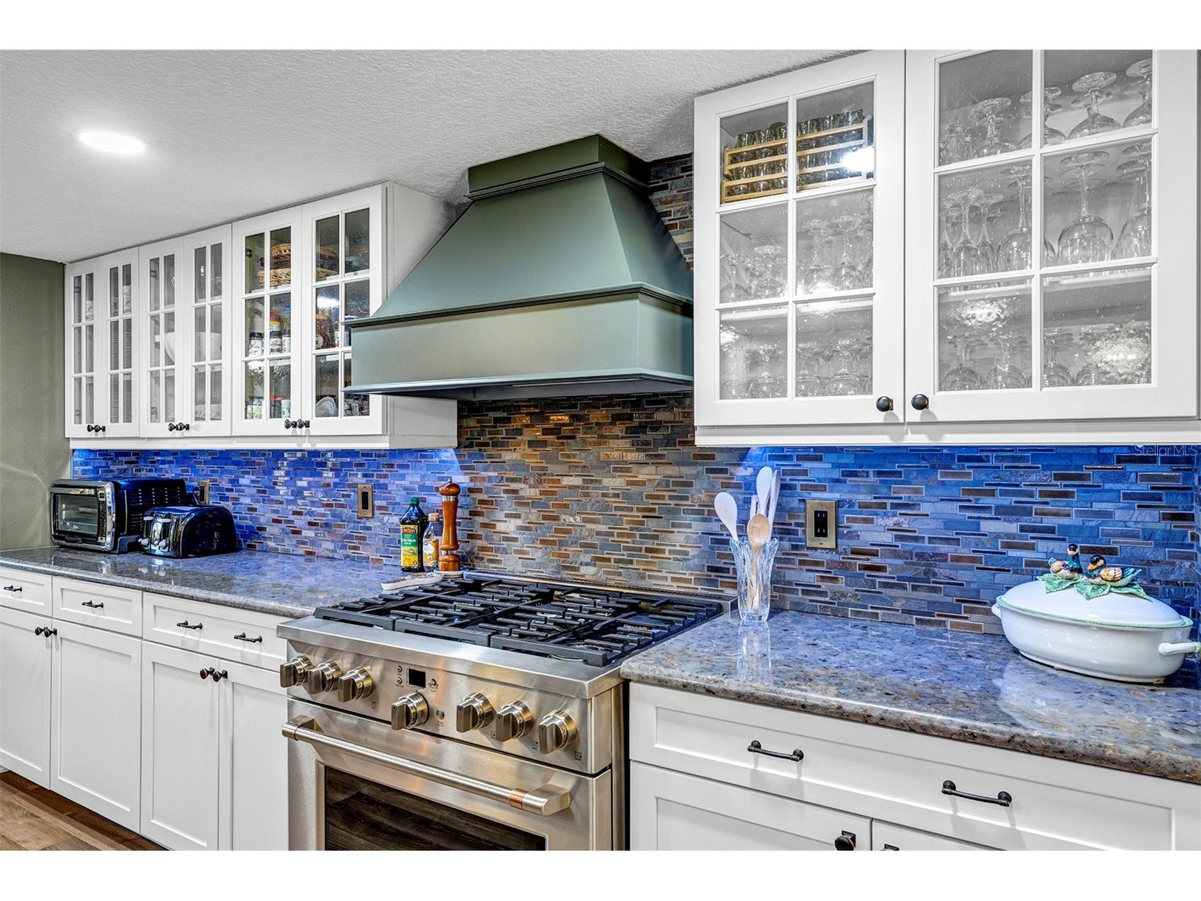 38922 Ella Drive Lady Lake FL 32159 - LAKE GRIFFIN G5104982 image11