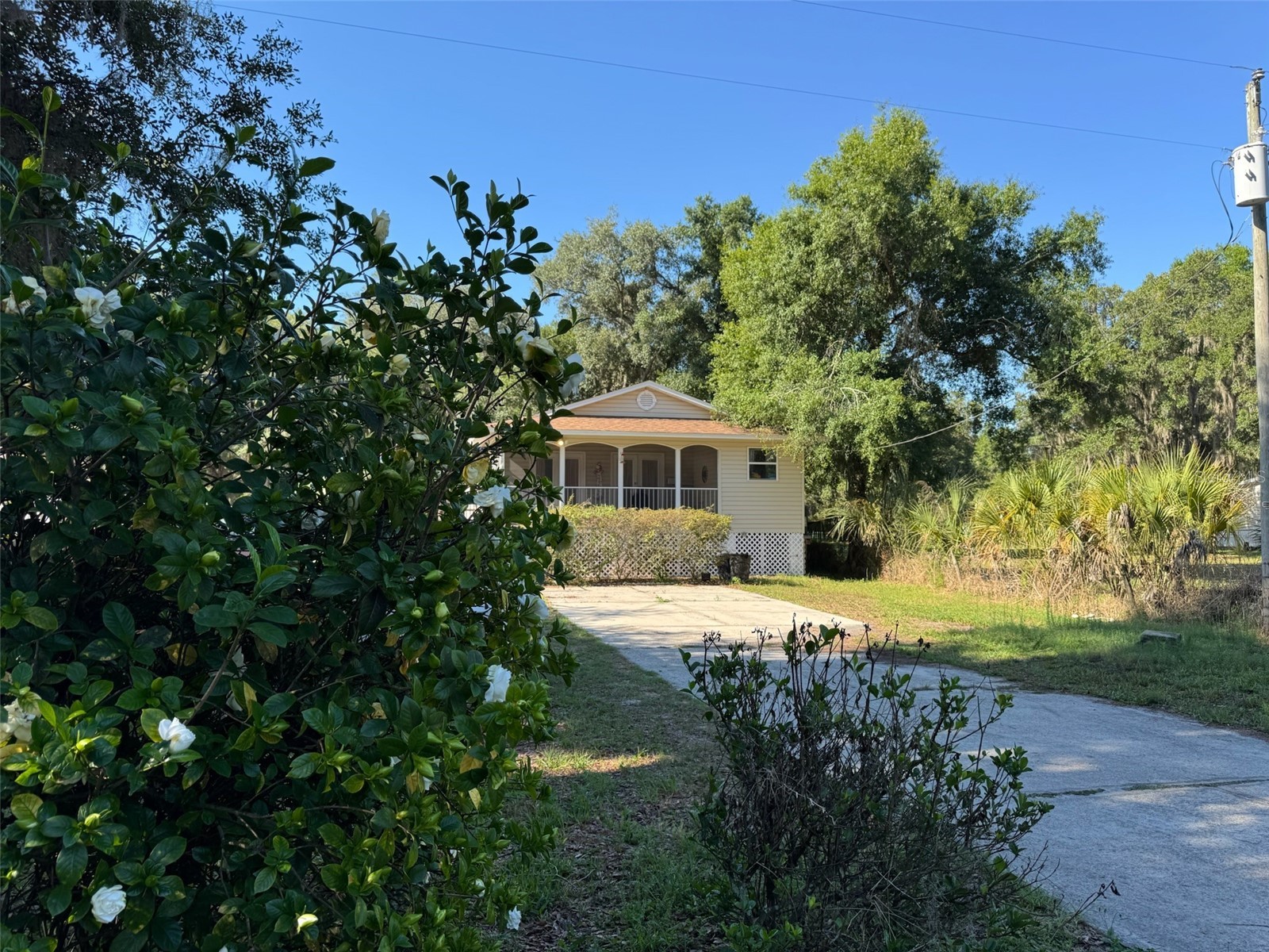 38932 Central Avenue Zephyrhills FL 33540 A4693634 image1