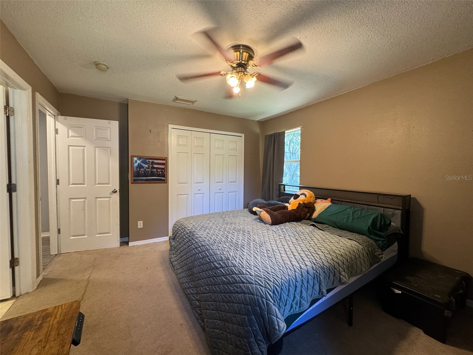 38932 Central Avenue Zephyrhills FL 33540 A4693634 image13