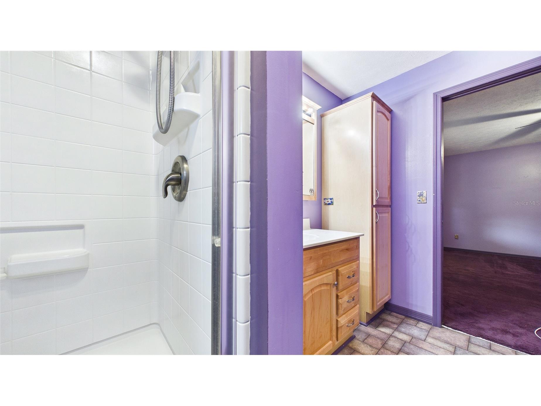 38938 Tall Drive Zephyrhills FL 33540 TB8497004 image31