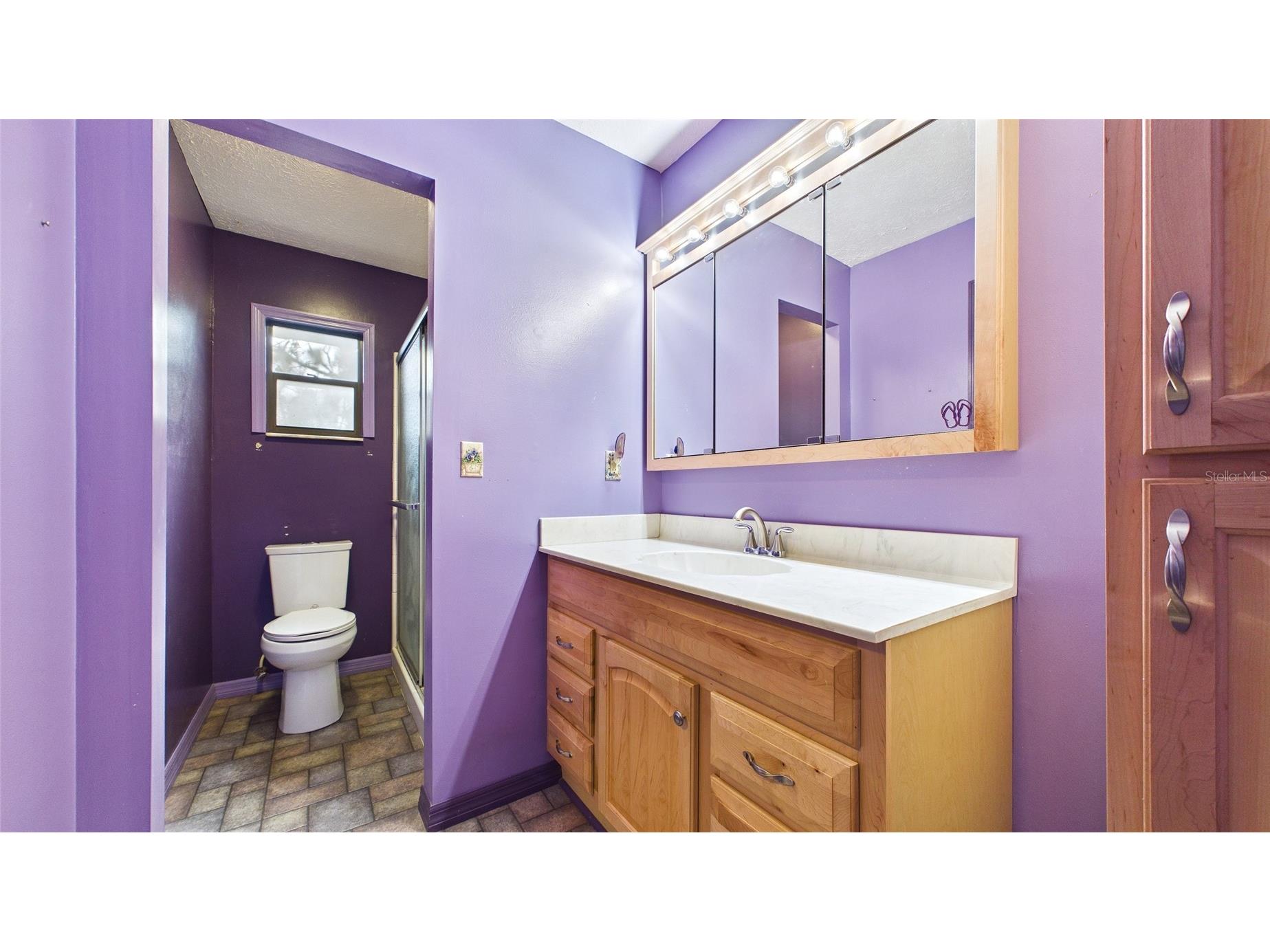38938 Tall Drive Zephyrhills FL 33540 TB8497004 image32