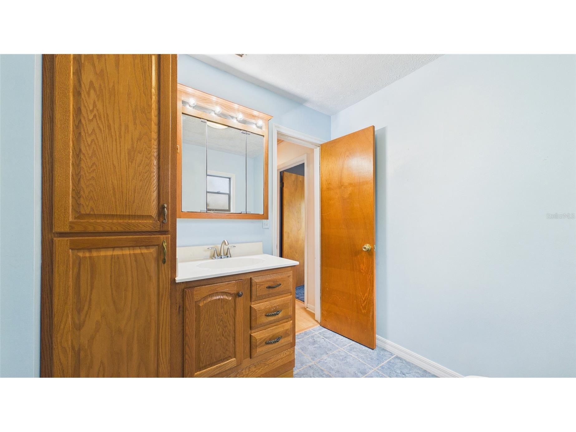 38938 Tall Drive Zephyrhills FL 33540 TB8497004 image39