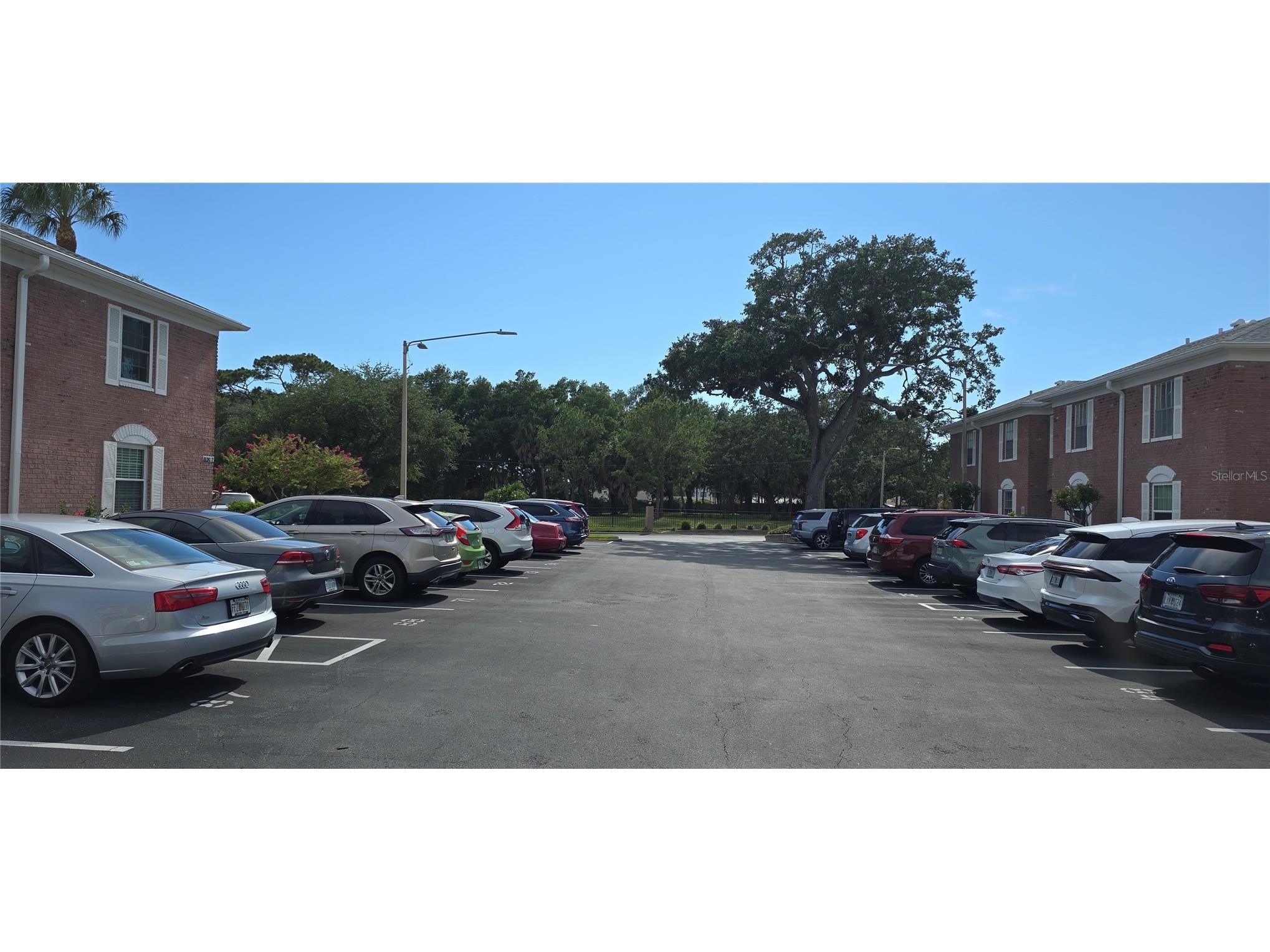 3894 37th Street S #41 Saint Petersburg FL 33711 TB8518856 image5