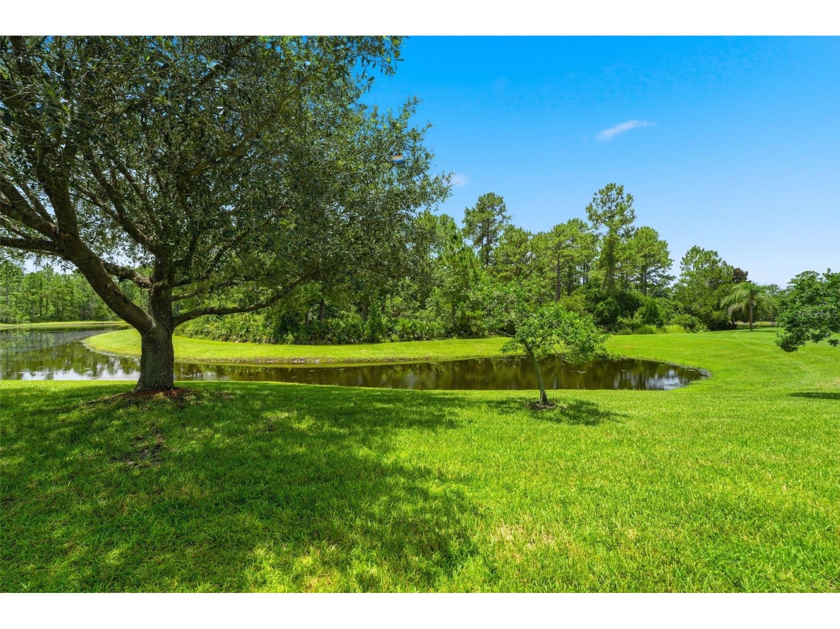 3894 Safflower Terrace Oviedo FL 32766 O6424018 image36