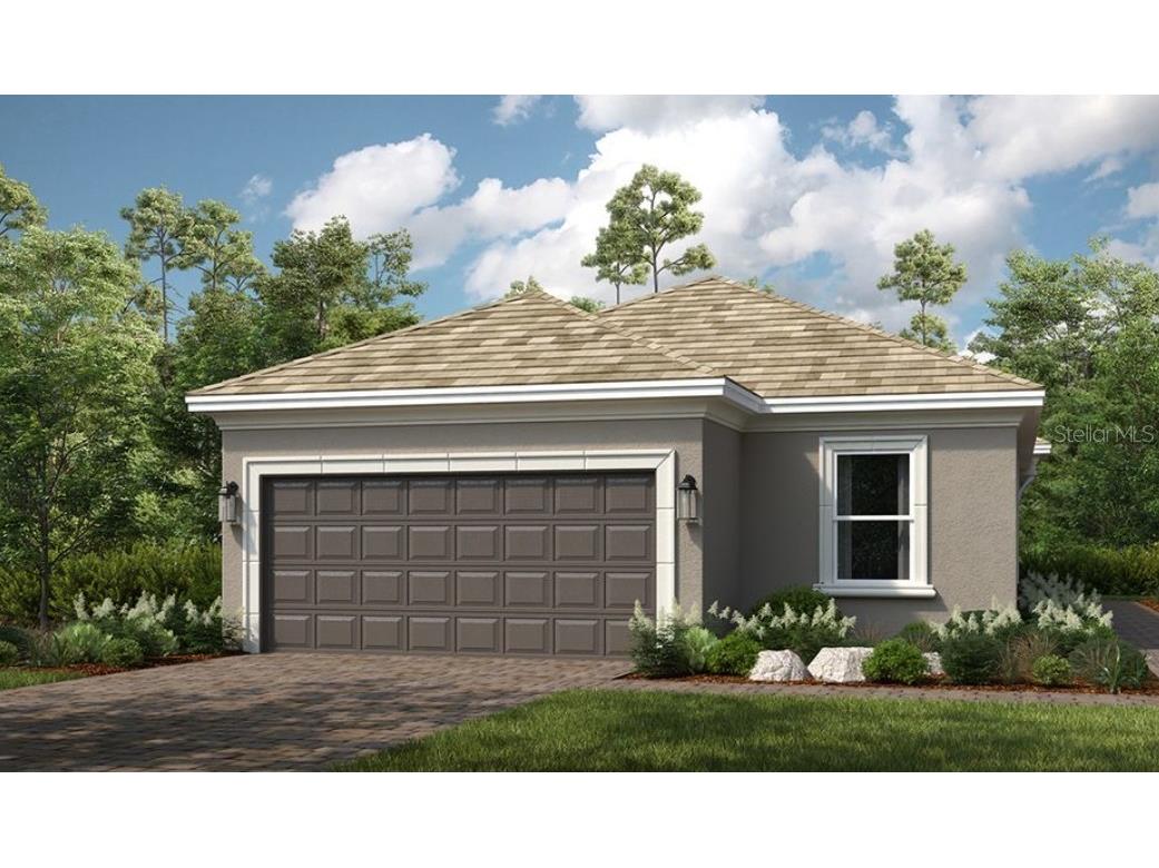 3895 Cavour Court Wesley Chapel FL 33543 TB8440022 image1