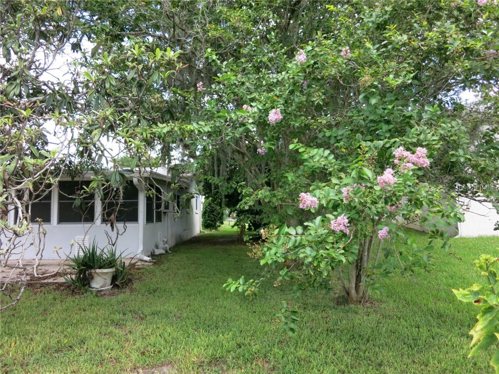 3896 N Seminole Point Crystal River FL 34428 OM707092 image36