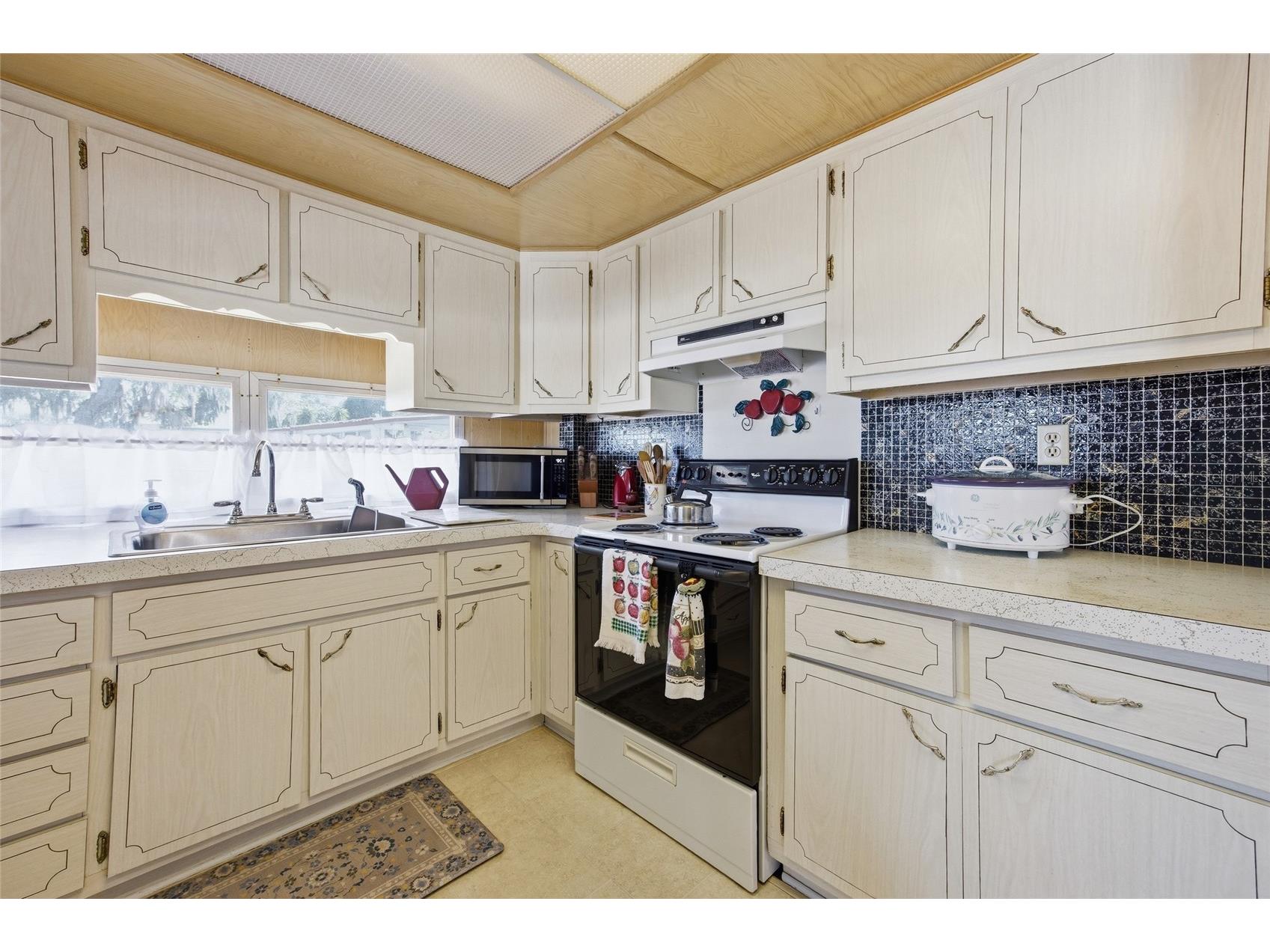 3896 Picciola Road #411 Fruitland Park FL 34731 - LAKE GRIFFIN G5111136 image17