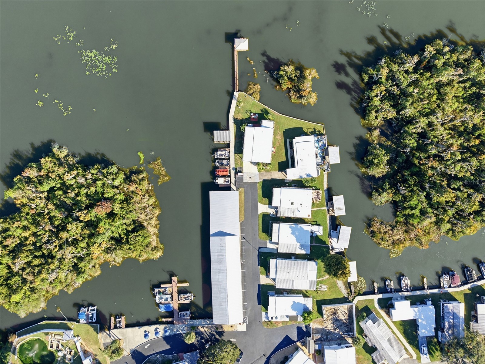 3896 Picciola Road #411 Fruitland Park FL 34731 - LAKE GRIFFIN G5111136 image48