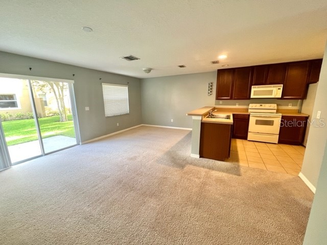 3896 Silverbell Loop Oviedo FL 32765 O6391048 image6