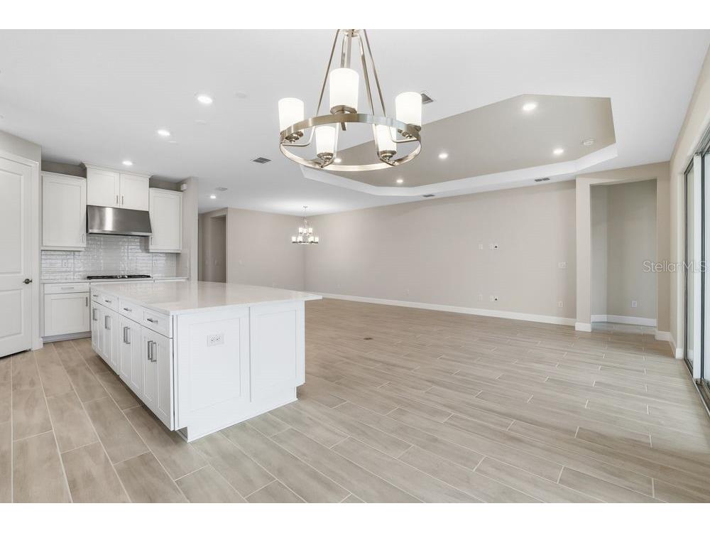 3897 Figliolia Way Wesley Chapel FL 33543 TB8430321 image18