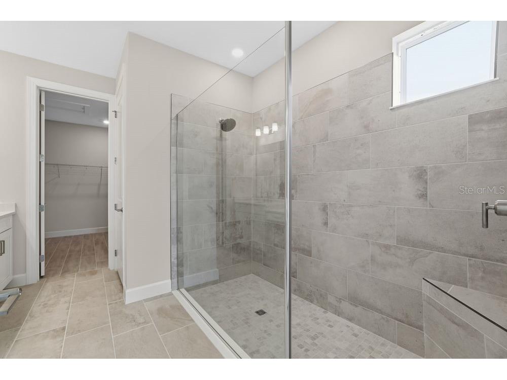 3897 Figliolia Way Wesley Chapel FL 33543 TB8430321 image21