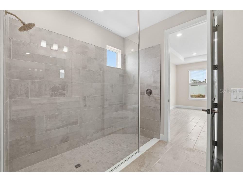 3897 Figliolia Way Wesley Chapel FL 33543 TB8430321 image24