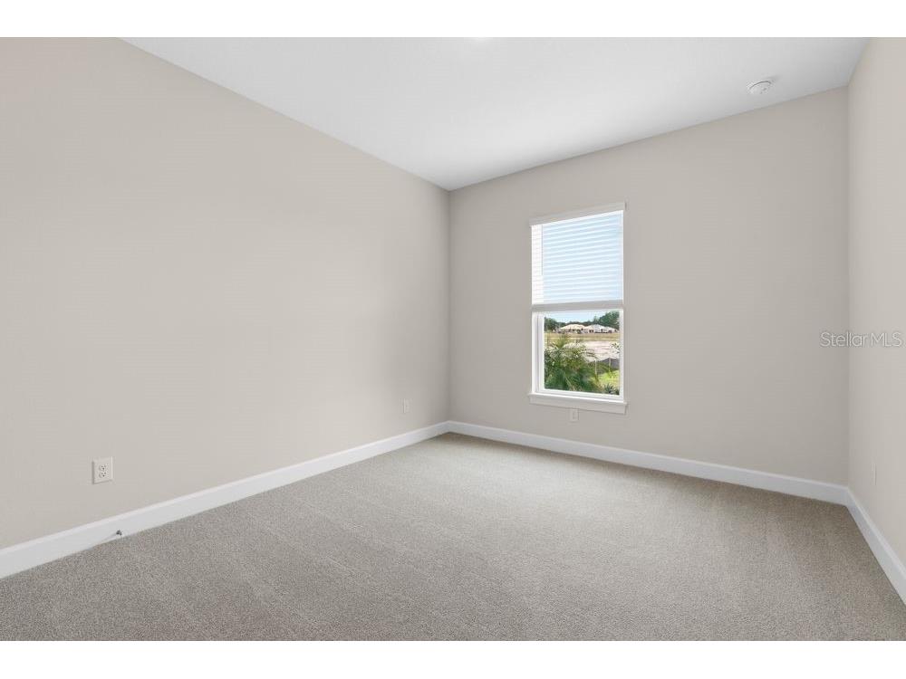 3897 Figliolia Way Wesley Chapel FL 33543 TB8430321 image27