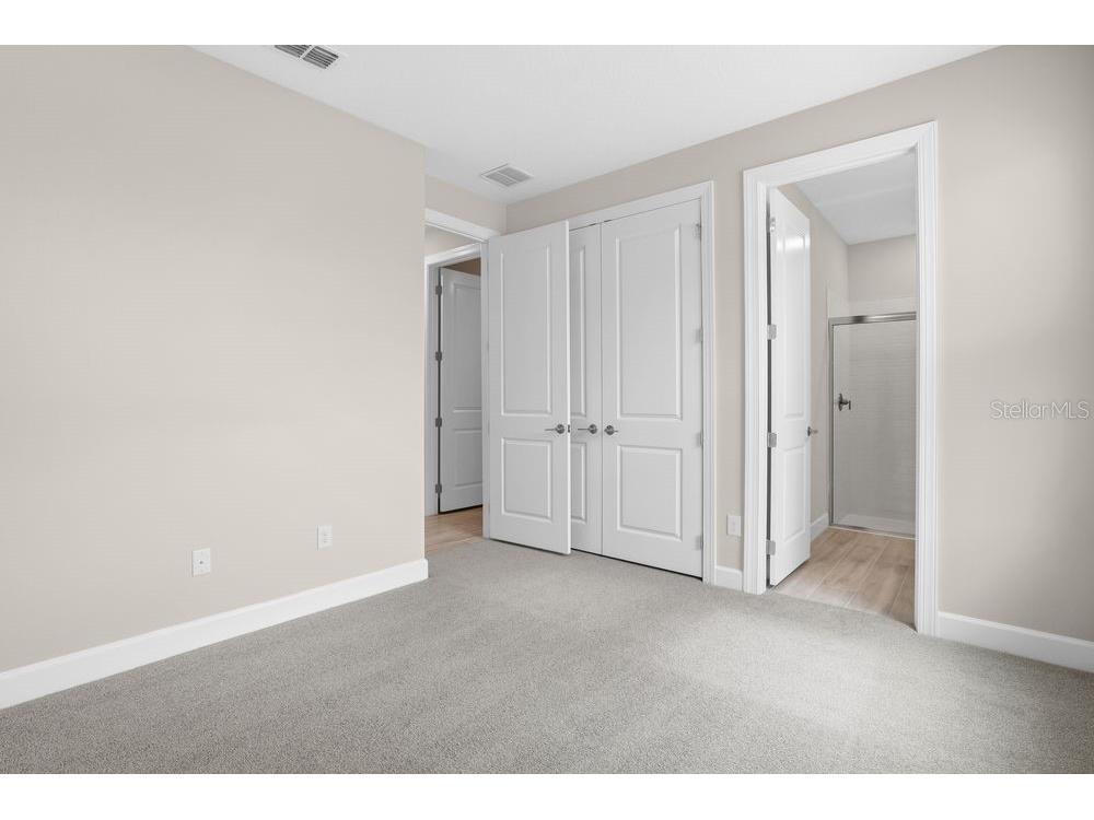 3897 Figliolia Way Wesley Chapel FL 33543 TB8430321 image30