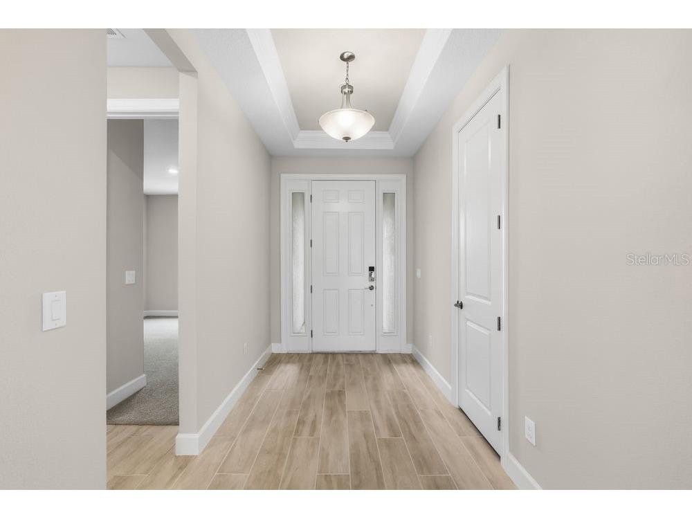 3897 Figliolia Way Wesley Chapel FL 33543 TB8430321 image35