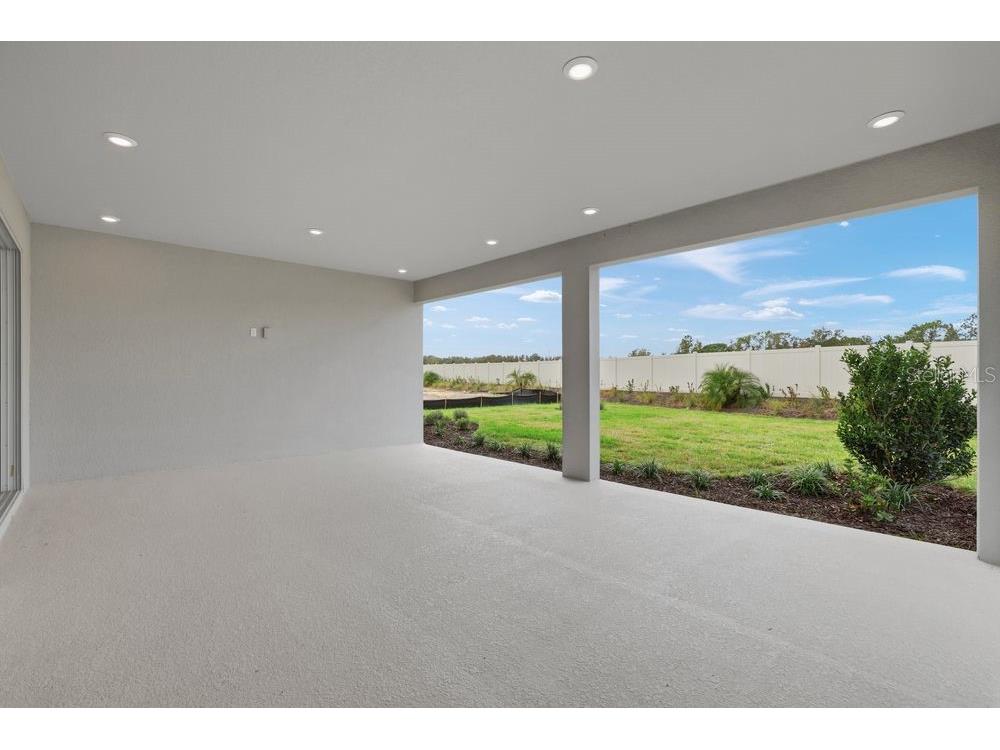 3897 Figliolia Way Wesley Chapel FL 33543 TB8430321 image39