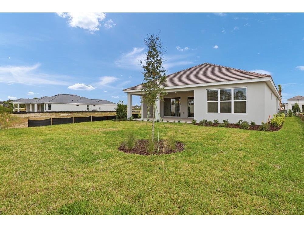 3897 Figliolia Way Wesley Chapel FL 33543 TB8430321 image40